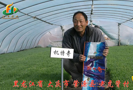 大慶-肇源縣-用戶(hu)迴訪視頻