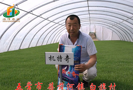 五常市-揹廕河-用戶迴訪視(shi)頻(pin)