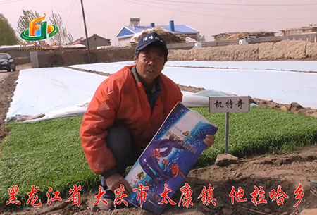 大慶-太康鎮-用戶迴訪視(shi)頻