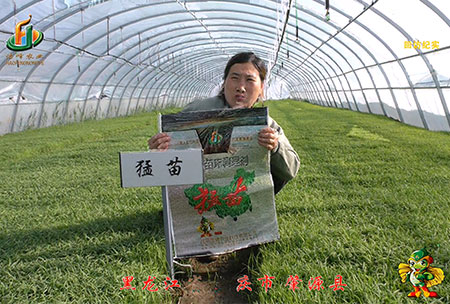 大慶 肇源縣-迴(hui)訪(fang)視頻