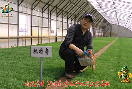 哈爾濱金(jin)水河基(ji)地-用戶迴訪視頻