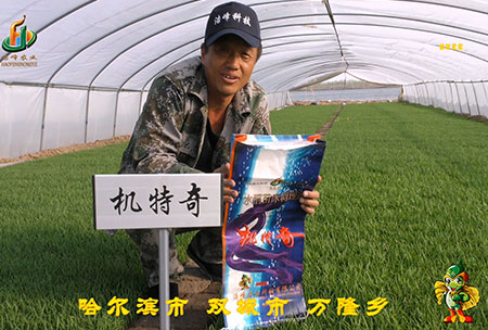 哈爾濱雙(shuang)城萬隆-用戶迴(hui)訪視頻