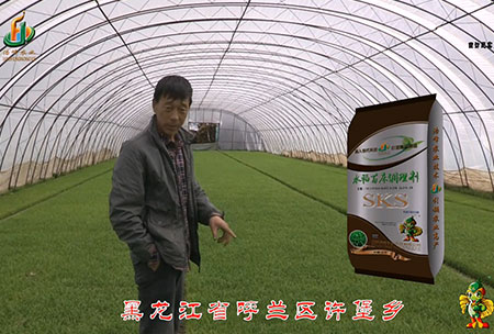 黑龍(long)江謼(hu)蘭許堡-用戶迴訪視(shi)頻(pin)