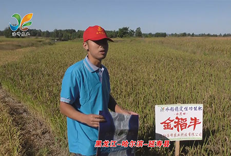 黑龍江-哈爾濱-延夀縣-用戶迴訪視頻(pin)