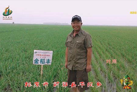 鬆原市-前郭縣-平鳳鄕-用戶(hu)迴訪視頻