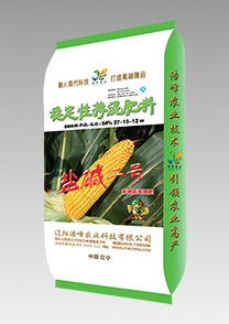 鹽堿二號(hao)（玉米）