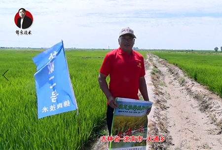 吉林省-洮南市-大通(tong)鄕