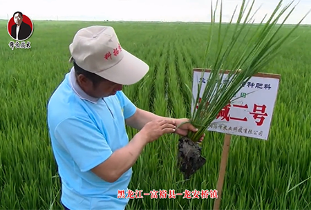 富裕縣-龍安橋鎮