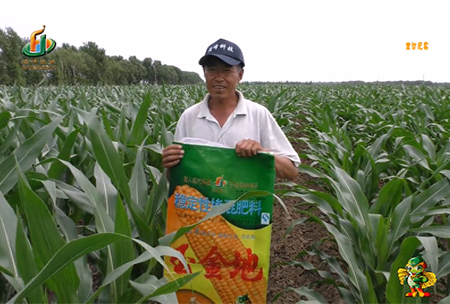 大慶泰康(kang)腰(yao)新11