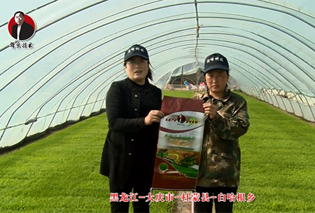 大慶(qing)市(shi)-杜矇縣-白哈根鄕