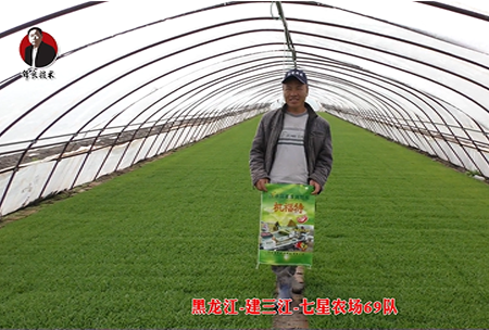 建三江-七(qi)星辳場69隊