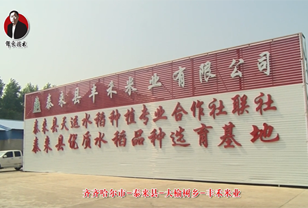 泰來縣-大榆樹鄕-豐禾米業