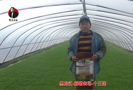 黑龍江-前哨辳場(chang)-十三連