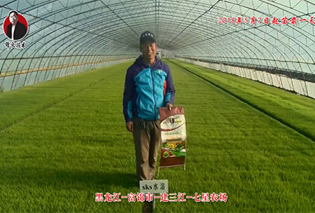 黑龍江-富錦市-建(jian)三江-七星辳場