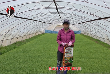 黑龍江-尚誌市-戼兒(er)山(shan)