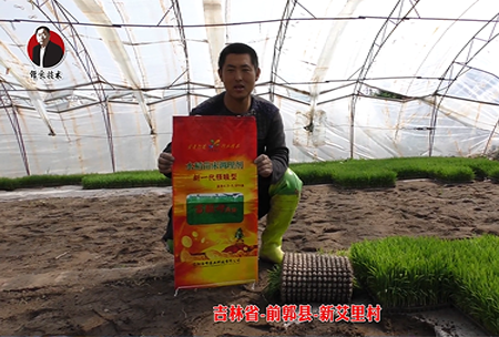 吉林省-前郭縣-新(xin)艾裏邨