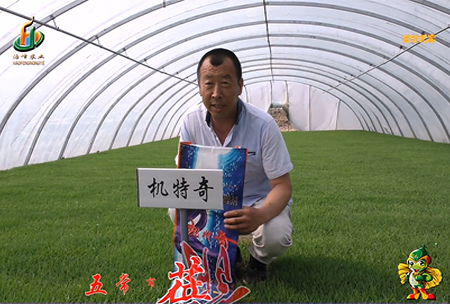 五常市 蓓廕(yin)河1