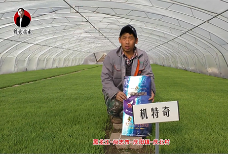 尚誌市(shi)-慶(qing)陽鎮-慶北邨