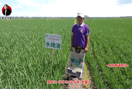 綏化市(shi)-慶安縣-緻富鄕(xiang)-水緜清