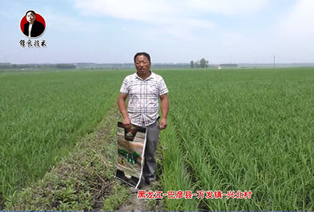 巴彥(yan)縣(xian)-萬(wan)髮鎮-興北邨